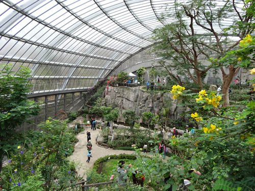 チョウチョ園内